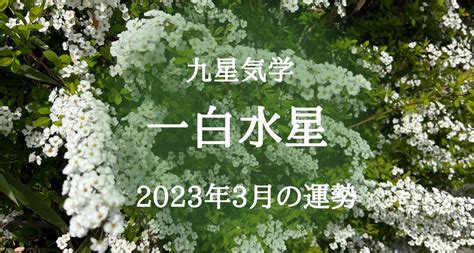 一白水星 2023|【2023年】一白水星の運勢・吉方位・凶方位を徹底。